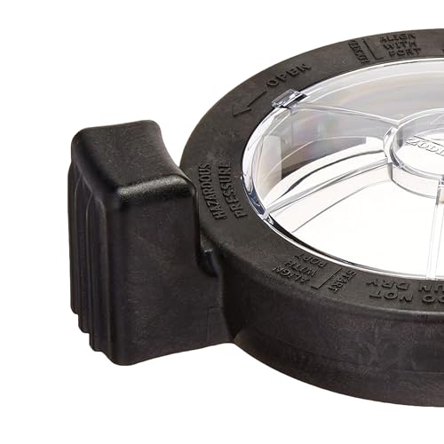 Jandy FloPro Pump Lid W/ Locking Assembly and O-Ring - R0480000 / A0130500