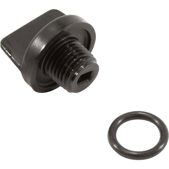 Pentair U178-920P .25″ MPT Drain Plug With O-Ring