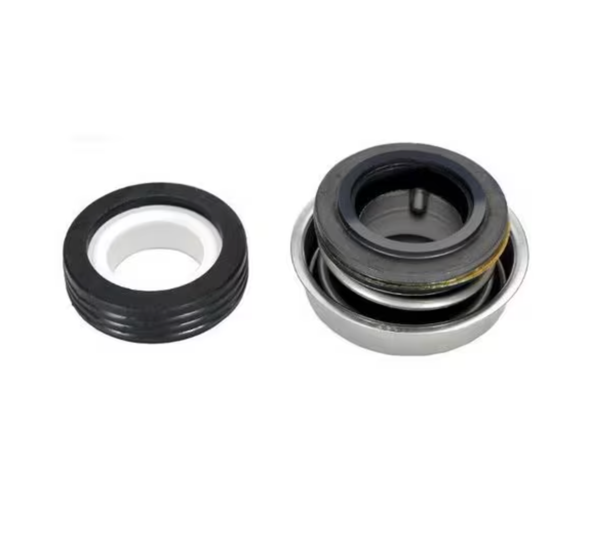 Pentair 071734S Seal with Ceramic Seat Replacement Pool and Spa Pump